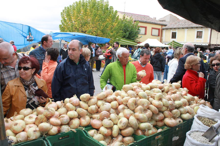 Palenzuela espera mantener la producción de cebollas y llegar a siete millones de kilos
