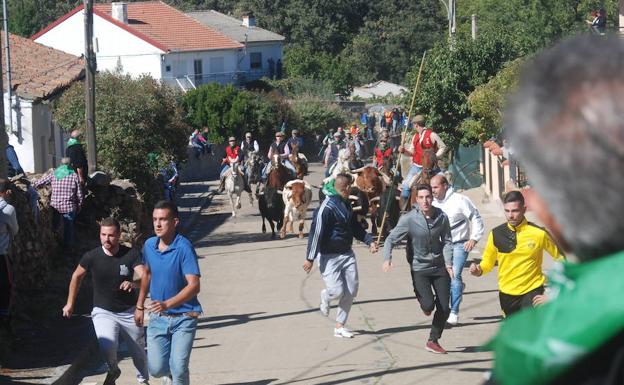 El encierro a caballo de El Maíllo se desarrolla sin incidentes y con numeroso público