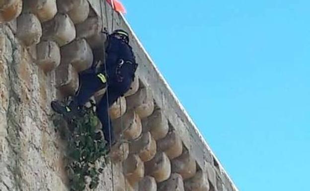 Los bomberos retiran tres higueras en lo alto del castillo de Torrelobatón