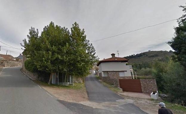 Fallece un joven de 26 años tras caerle una rama encima