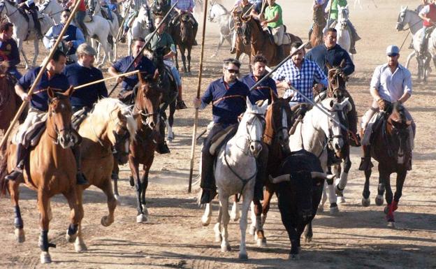 Los toros del encierro olmedano hacen disfrutar a caballistas y corredores