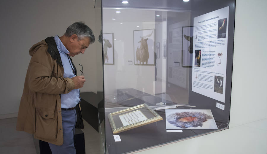El Museo de la Ciencia de Valladolid acoge la exposición fotográfica 'Bestiarium'