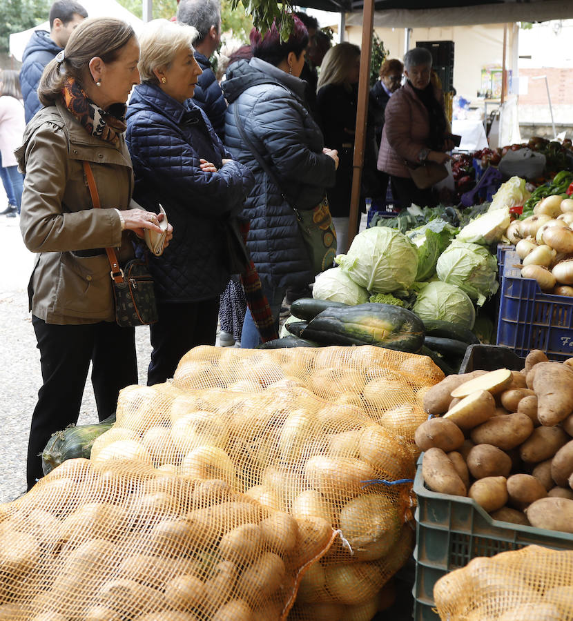 El reclamo de la cebolla horcal en Palenzuela