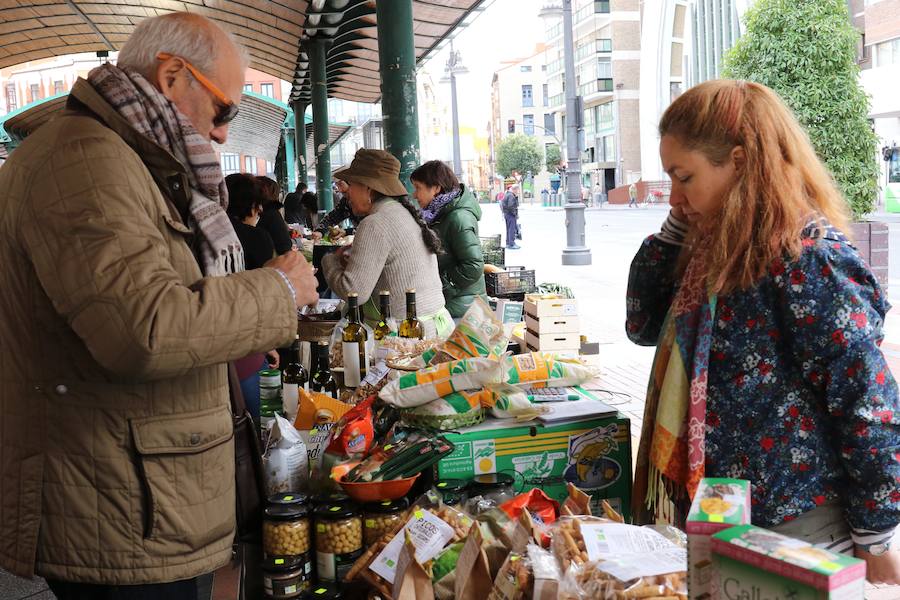 La segunda edición del mercado ecológico de la Plaza de España de Valladolid cuenta con siete puestos más