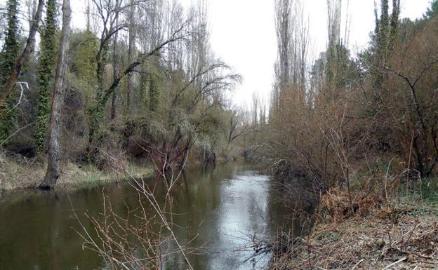 Ecologistas en Acción critica la construcción del embalse en el río Cega