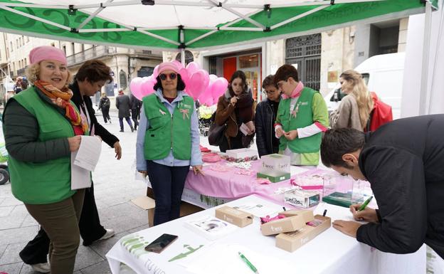 Una de cada ocho mujeres padecerá cáncer de mama a lo largo de su vida