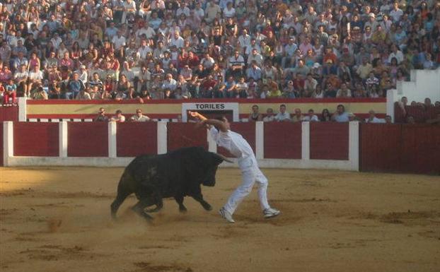 El coso cubierto de Íscar acoge el 17 de noviembre la final del Concurso de Cortes