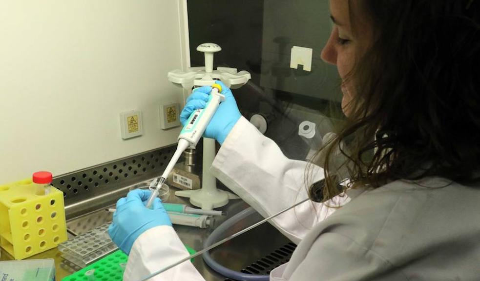 Valladolid, vanguardia en la lucha contra el cáncer