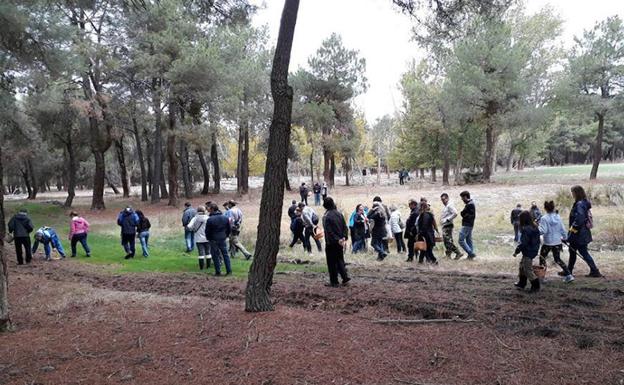 Fuenterrebollo celebra sus cuartas jornadas micológicas