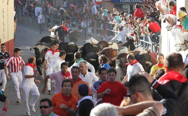Los encierros de Cuéllar, los más antiguos de España, Premio Tauromaquia de Castilla y León