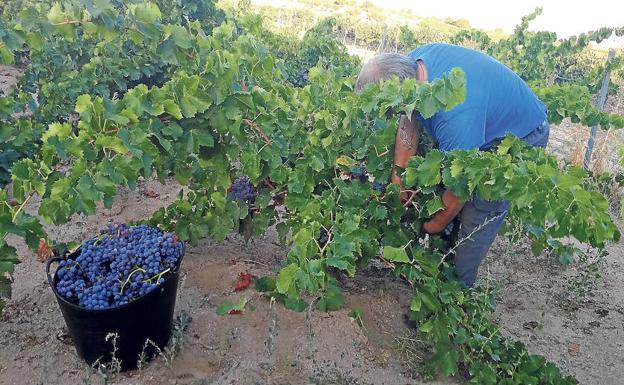 Cebreros, en continua progresión