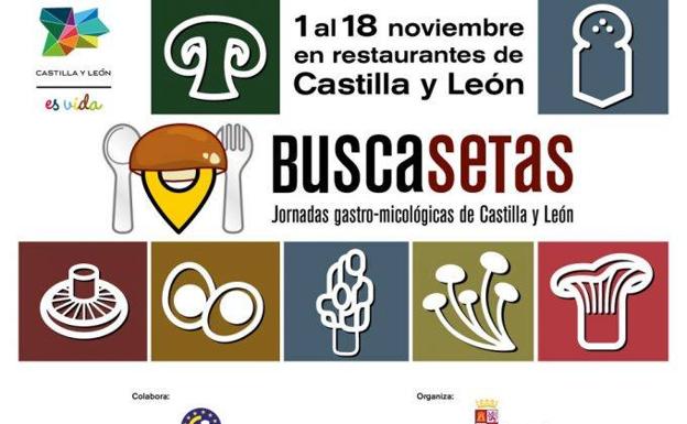 Trece restaurantes abulenses «buscasetas»