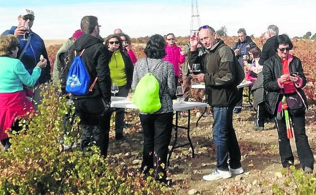 Los vecinos de Mucientes salen a la rebusca