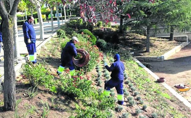 Un programa mixto permite a 16 jóvenes de Boecillo recuperar el parque El Tejar