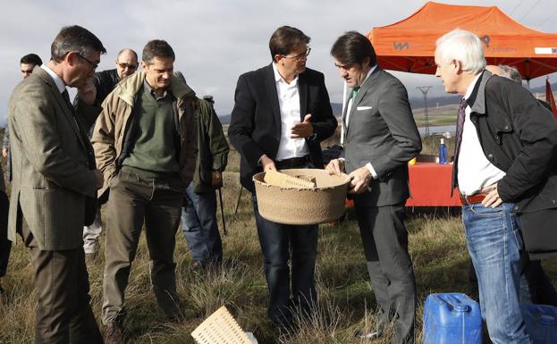 Una iniciativa holandesa repoblará con 21.000 árboles varios montes públicos del norte de Palencia