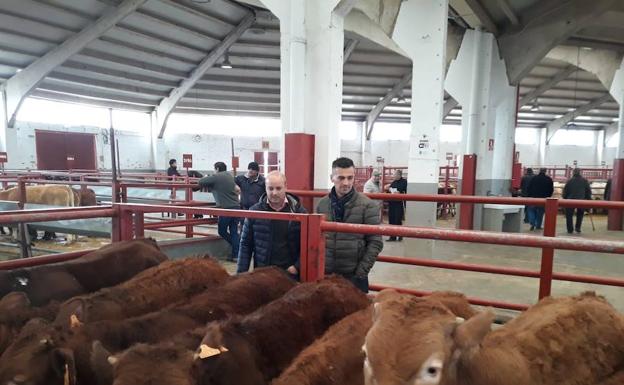 David Castaño: «Mañueco está anteponiendo su carrera electoral ante los problemas de los salmantinos»