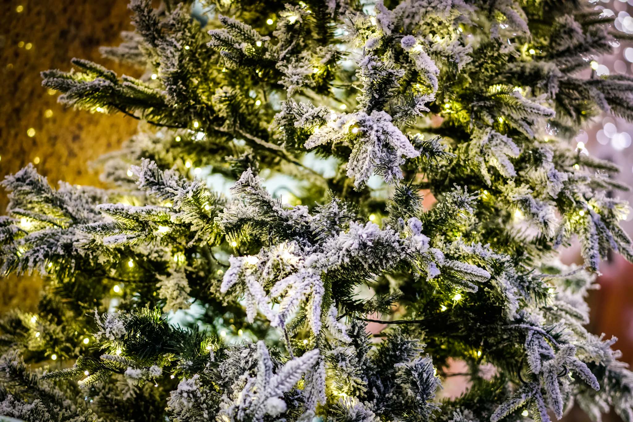 El Corte Inglés inaugura su iluminación navideña en Salamanca