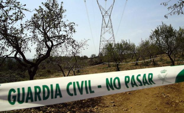 Seis detenidos por comerciar con productos fitosanitarios peligrosos para la salud