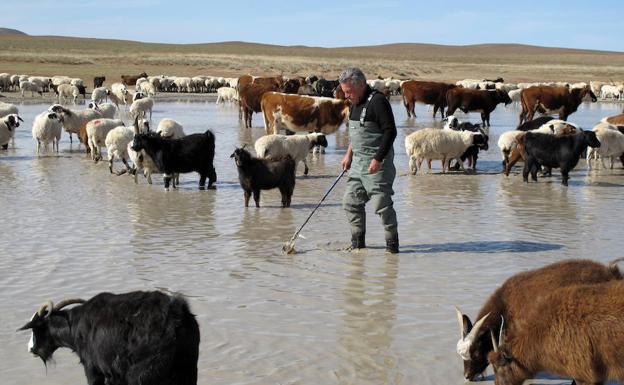 Mongolia, reserva de lagos