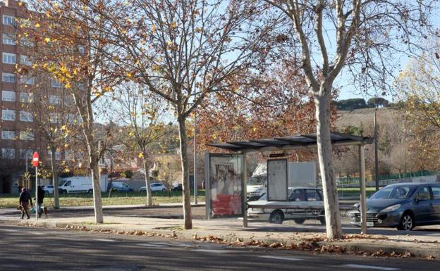 Auvasa sancionará a los cuatro jóvenes que fumaron hachís en un Búho y ocasionaron la intoxicación de chófer