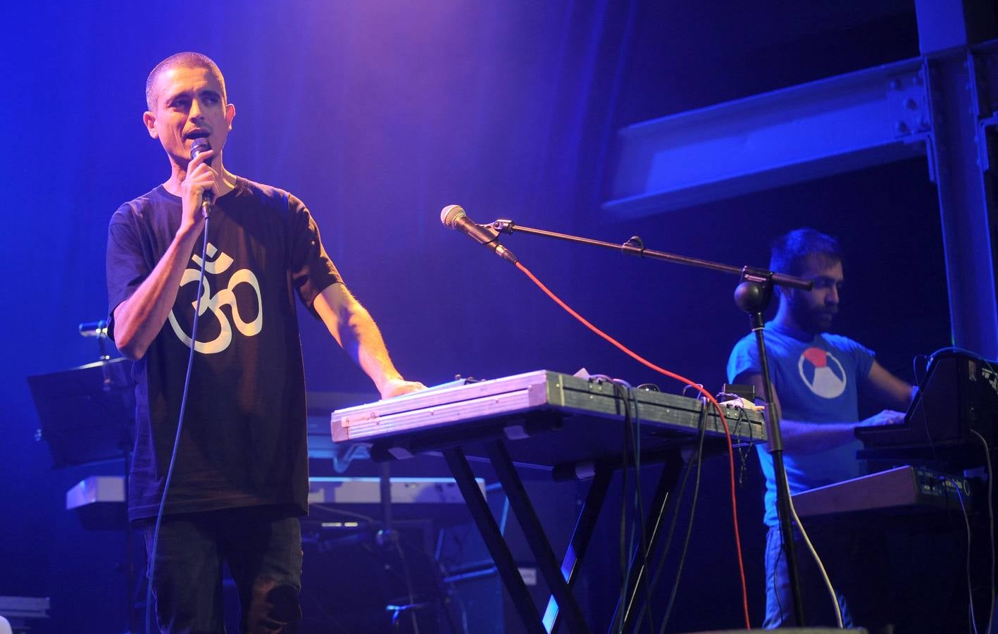 Concierto de Los Ganglios en el LAVA