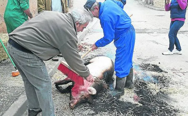 Los vecinos de Languilla recuperan la matanza del cerdo a la antigua usanza