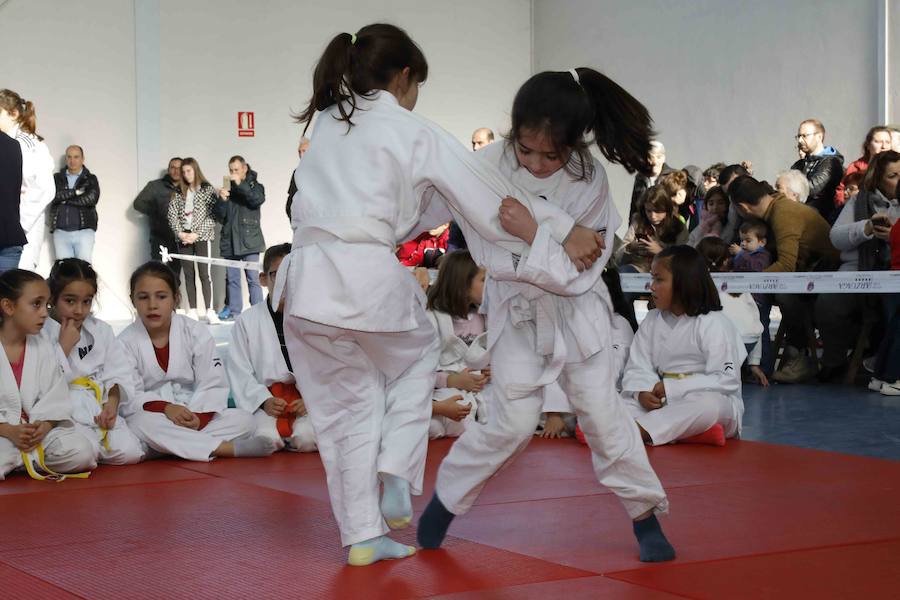 Fiesta del Judo en Quintanilla de Onésimo