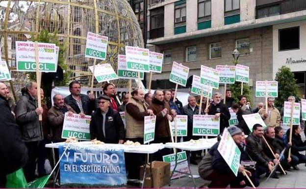 Los ganaderos de ovino alertan en Valladolid de la muerte del sector sin precios que garanticen el coste de producción