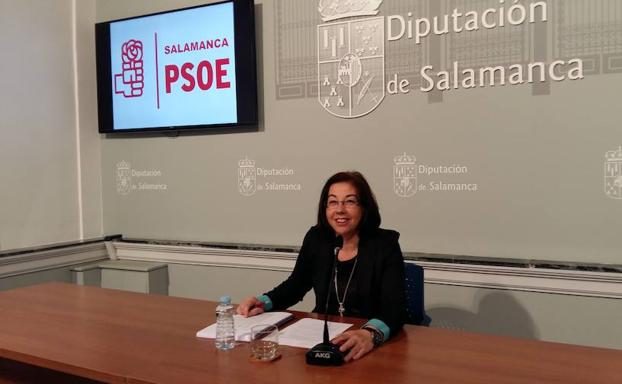 El PSOE presenta una quincena de propuestas a los presupuestos de La Salina