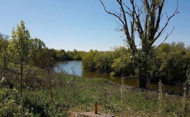 Juzgan al acusado de matar a un hombre cuyo cuerpo fue hallado en el río Pisuerga de Valladolid