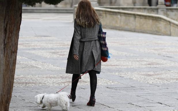 La «obsoleta» ordenanza municipal y sus multas de hasta 2,5 millones de pesetas