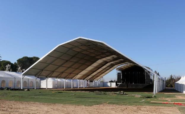 Una macrocarpa con césped protegerá a los pingüinos del frío y evitará el barro