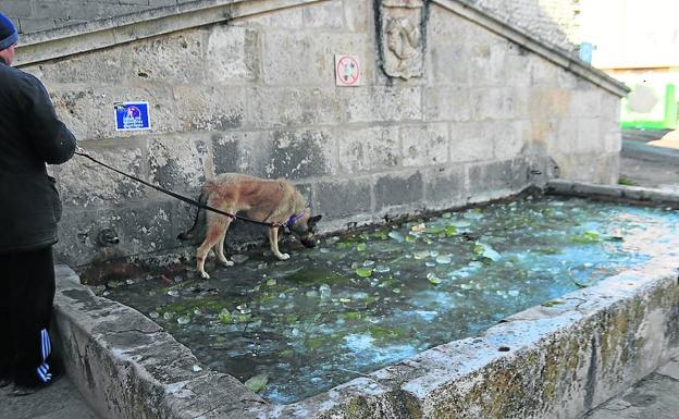 La provincia estará mañana en alerta amarilla debido a la entrada de más frío