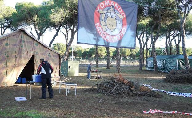 Pingüinos llenará los hoteles de Valladolid