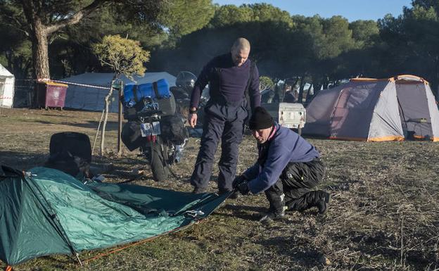 «Pingüinos hay que vivirlo al menos una vez en la vida»