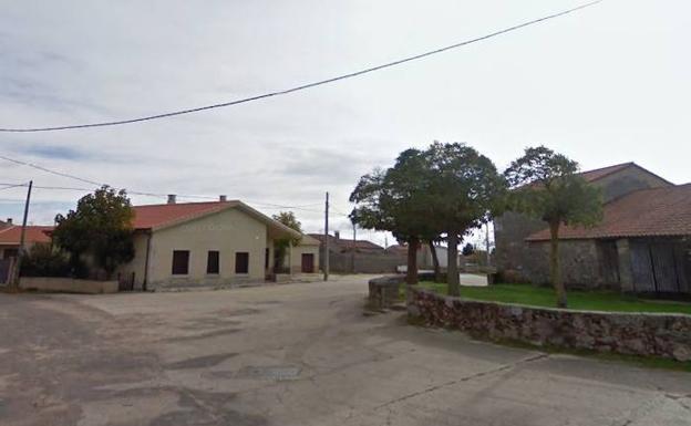 Un ganadero zamorano recibe 40 puntos de sutura tras el ataque de un jabalí