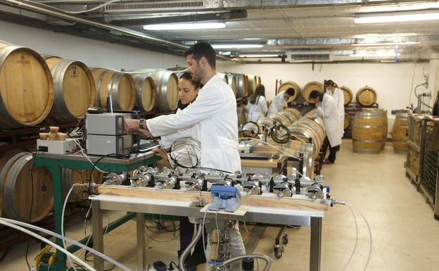 El 90% de los titulados en Enología de la UVa encuentra un empleo en Castilla y León