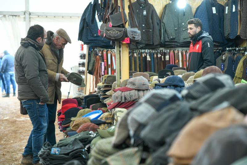 Jornada del domingo en el Campeonato Nacional de Galgos de Nava del Rey