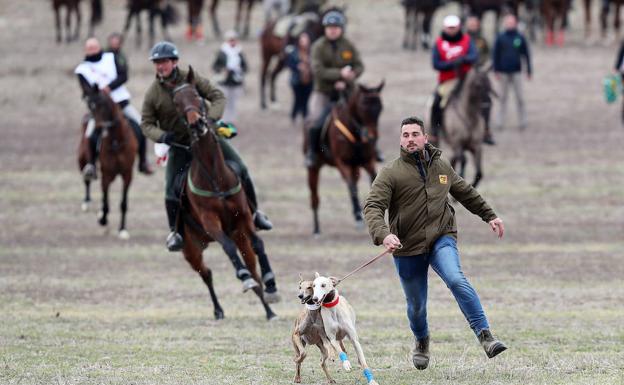 Castilla y León tira de superioridad y llega a cuartos de final con sus cuatro galgos
