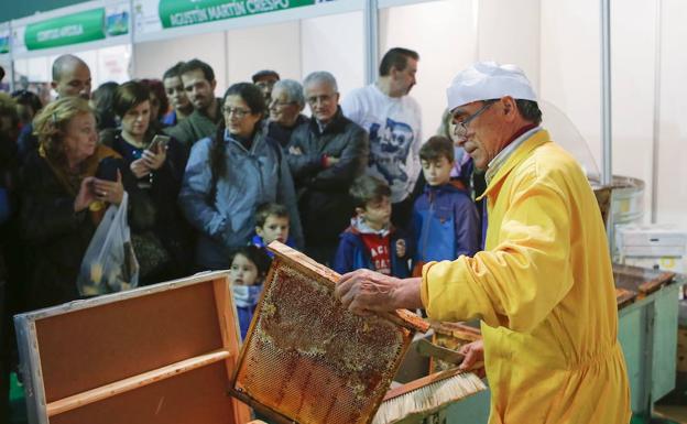 Aldeatejada apuesta por el sector agrícola y la apicultura con dos ferias