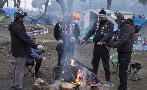 Todas las fotos y vídeos de Pingüinos 2019