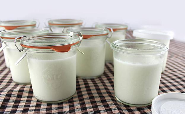 Yogur: sano, sabroso y desintoxicante