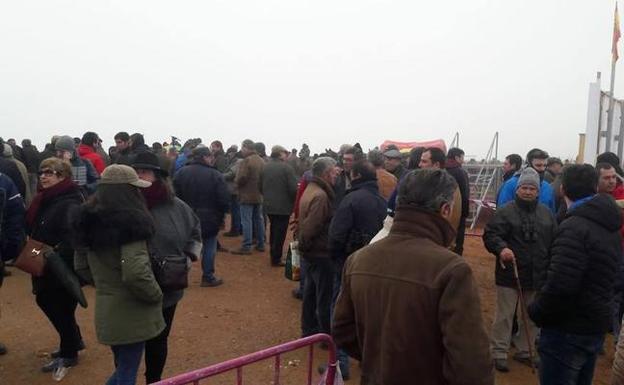 La niebla retrasa el arranque de los cuartos de final del Nacional de Galgos de Nava del Rey