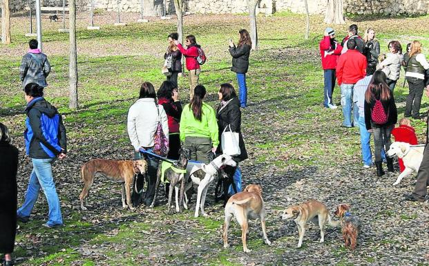 El Ayuntamiento regulará la tenencia de animales potencialmente peligrosos