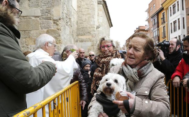 Palencia bendice a sus mascotas