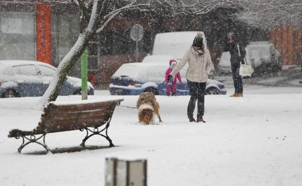 Activada la fase de alerta por nevadas en las zonas de la Cordillera Cantábrica y de la Meseta de la provincia de León