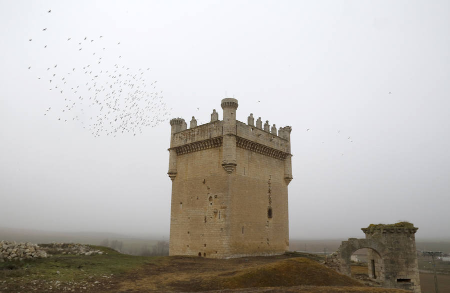 Un palomar que ansía volver a ser castillo en Belmonte de Campos