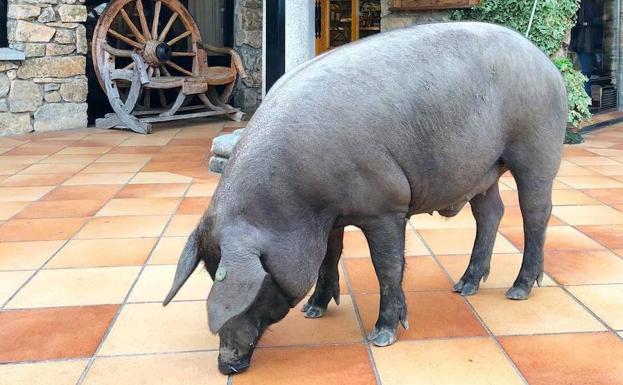 Recaudan 960 euros para Cáritas Diocesana con la venta de las papeletas en Mogarraz