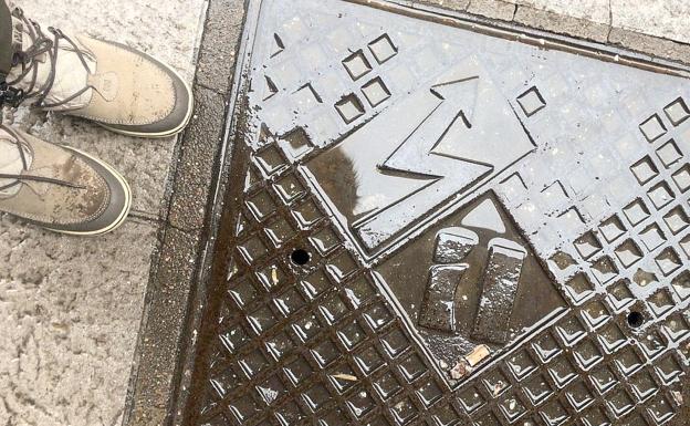 Un perro, electrocutado en el centro de León al pisar una arqueta en una acera