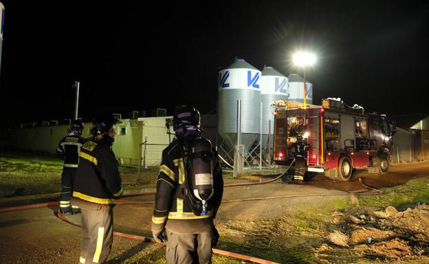 Mueren asfixiados más de 7.000 lechones en el incendio de una nave en Pollos